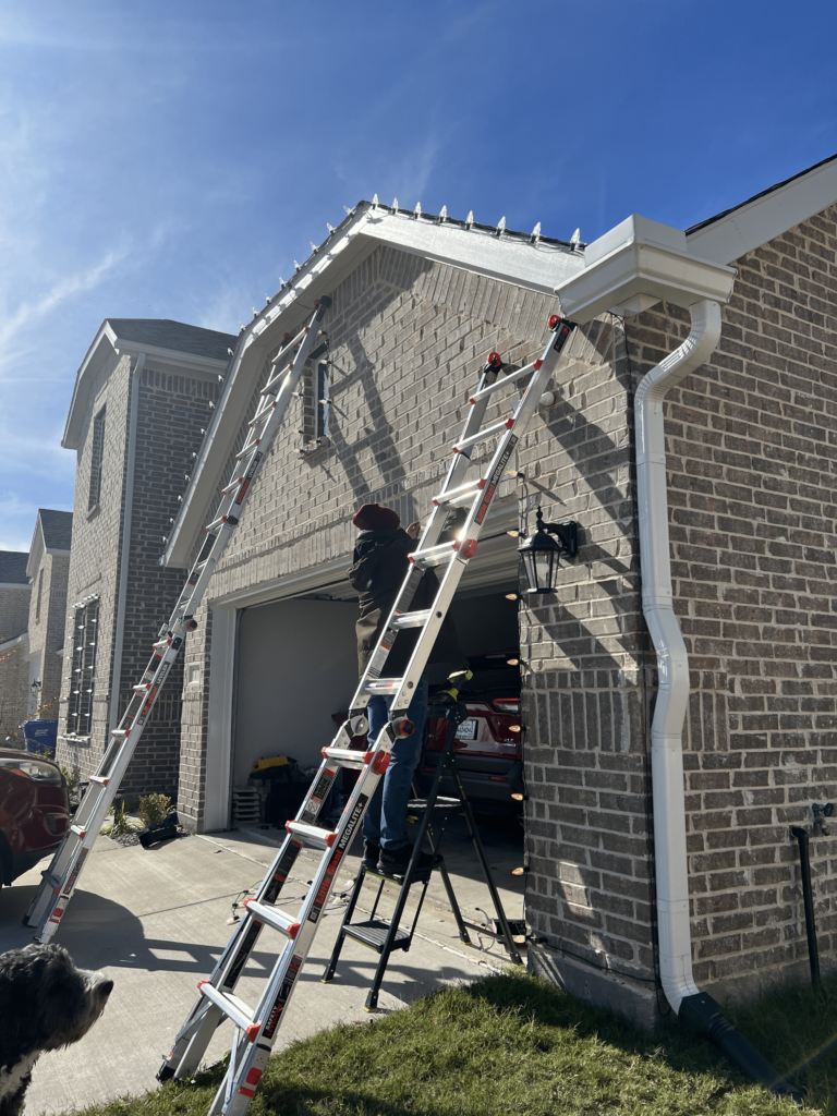 Holiday Night lights installing c9 christmas lights